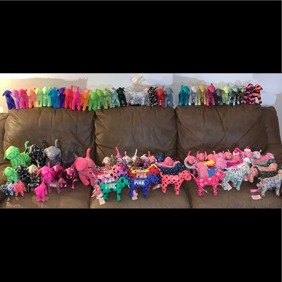 Meet your Posher, Savannah - Picture 1 of 8